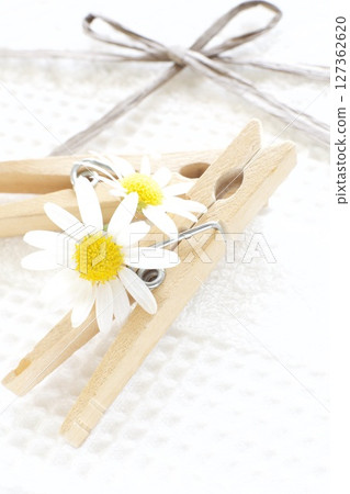 Wood pinch 127362620