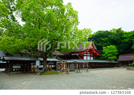 Munakata Taisha Edge Tsushima 127363108