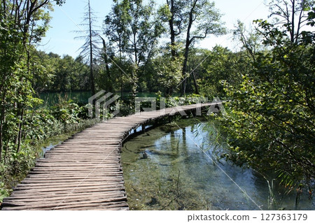 A quiet boardwalk leading to the marshland A quiet boardwalk leading to the marshland 127363179