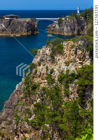 【新潟縣_尖閣灣】數萬年來被洶湧的海浪侵蝕而形成的懸崖峭壁 春天 127363195