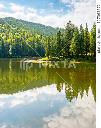 alpine scenery with lake and forest on hill. outdoor adventure. beauty of carpathian mountain nature in summer. green landscape on a sunny day. coniferous trees reflection in water. vacation season 127363872
