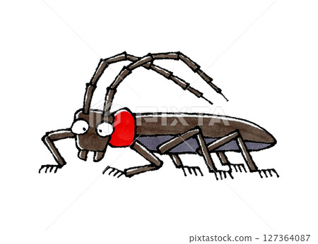 Kubia Cutlet Beetle 127364087