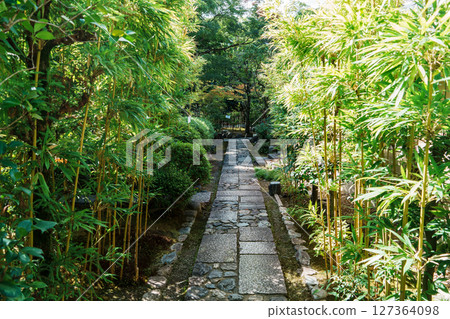 Myochi-in Temple: A stone-paved road surrounded by greenery Myochi-in Temple: A stone-paved road surrounded by greenery 127364098