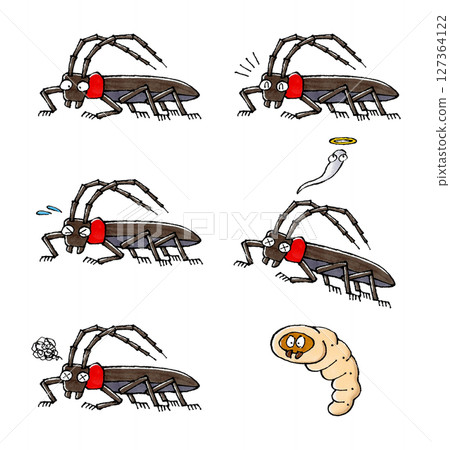 紅頸長角甲蟲套裝 127364122