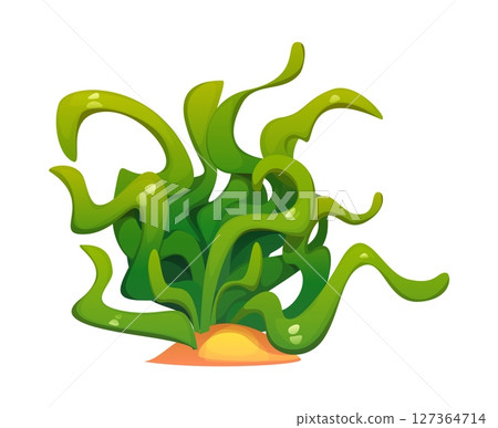 Cartoon green seaweed with curly glossy leaves growing from sand. Vector underwater algae and coral reef plant dynamic waving leaves. Marine flora vegetation for ocean ecosystem or aquarium decoration 127364714