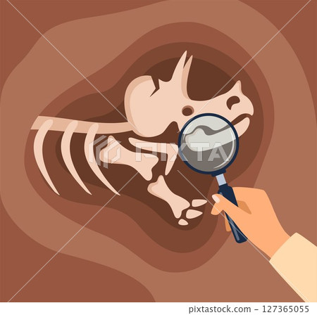 Dinosaur bones skeletons in piece of ground. Old dead prehistoric animal. Paleontology, archaeology science. Archaeological find. Historical value. Vector 127365055