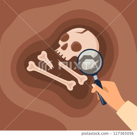 Human skull with bones, teeth. Archaeological find. Historical value. Image for books, articles, posters, archeology, history of past, excavations presentations. Vector 127365056