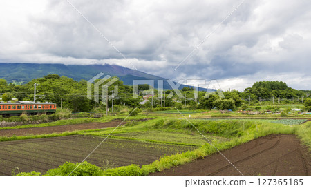 115系列湘南彩色宮代田站 127365185