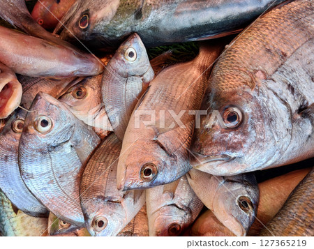 Essaouira fish market, Morocco 127365219