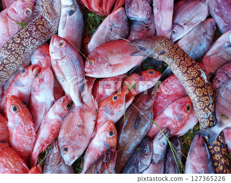 Essaouira fish market, Morocco Essaouira fish market, Morocco 127365226