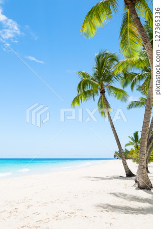 Amazing white sand beach with coconut palm trees and Caribbean sea shore on Saona island in Dominican Republic. Summer holiday beach concept. Amazing white sand beach with coconut palm trees and Caribbean sea shore on Saona island in Dominican Republic. Summer holiday beach concept. 127365336
