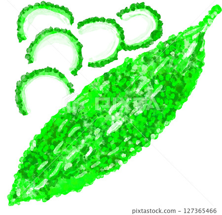 苦瓜的插圖 127365466