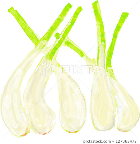 孤島的插圖 127365472