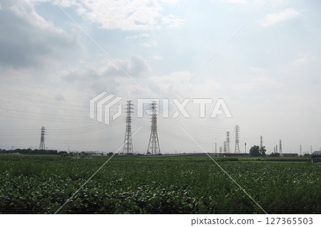 伊勢崎市的蔬菜收穫（2013.6.25） 354號國道繞行田野 廣闊的水無月景色 127365503