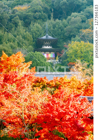 Eikan-do Autumn leaves Kyoto Eikan-do Autumn leaves Kyoto 127366183