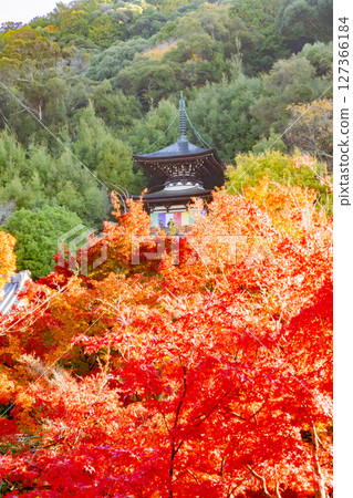 Eikan-do Autumn leaves Kyoto 127366184