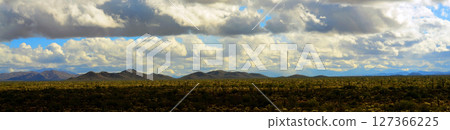 Panorama Landscape Sonoran Desert Arizona 127366225