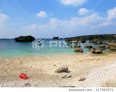 Cajafa in winter (Nakanoshima Coast) (Irabu Island, Miyakojima City, Okinawa Prefecture) 127367073