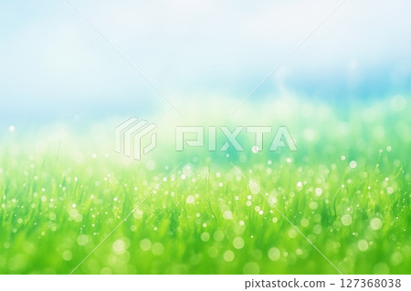 Quiet grassland in the morning dew_02 Quiet grassland in the morning dew_02 127368038