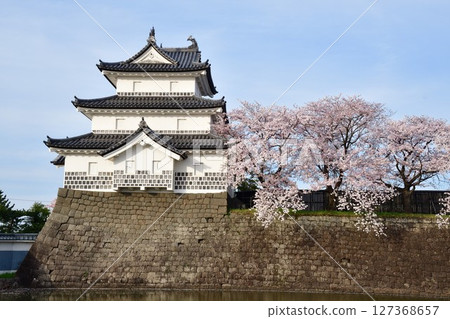 春天的新發田城和櫻花（新潟縣） 127368657