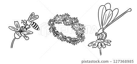 Bee and dragonfly sitting on daisy flowers 127368985