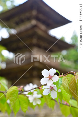 大方寺三層寶塔（新潟縣） 127369041