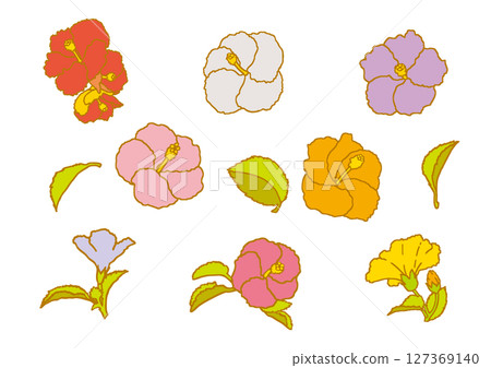 芙蓉花彩色套裝 芙蓉花彩色套裝 127369140