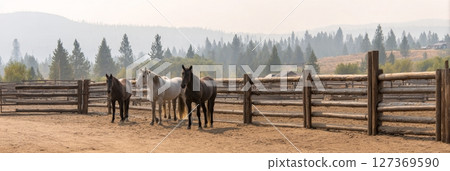 Horses standing near rustic wooden fence in serene prairie landscape, embodying the spirit of the American West 127369590