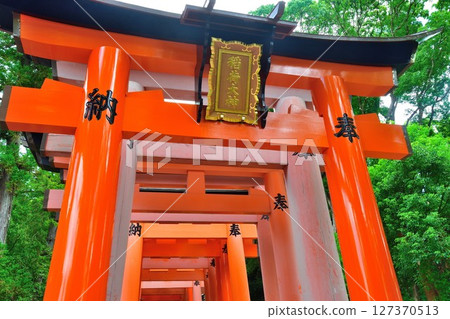 Fushimi Inari Taisha Shrine: Thousand Torii Gates (Kyoto Prefecture) 127370513
