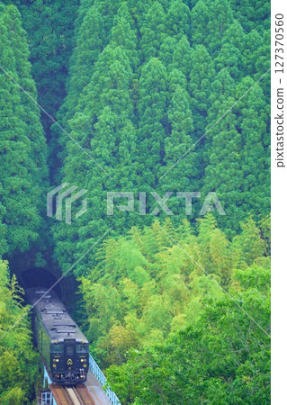 The Ichiroku Express train passing through a forest tunnel 127370560