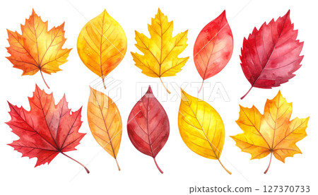 Autumn leaves, leaf set (watercolor texture illustration material) 127370733