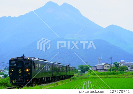 特快「關八號」從由布院出發 127370741