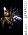 Fireworks Fireworks 127370944