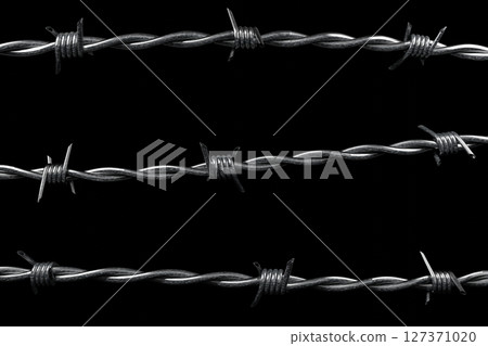 Barbed wire isolated on black background - 3D illustration 127371020
