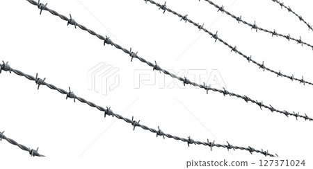 Barbed wire isolated on white background - 3D illustration 127371024