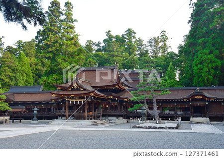 多賀大社(滋賀縣) 多賀大社(滋賀縣) 127371461