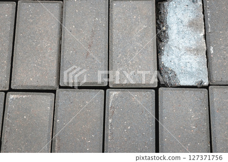 Paved walkway with uneven bricks creates a focal point in a garden or outdoor area during late afternoon 127371756