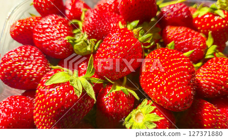 Ripe strawberries picked from the garden. In disposable containers. sale. Ripe strawberries picked from the garden. In disposable containers. sale. 127371880