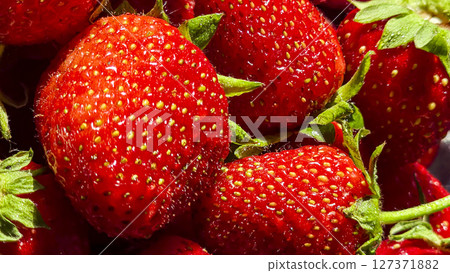 Ripe strawberries picked from the garden. In disposable containers. sale. Ripe strawberries picked from the garden. In disposable containers. sale. 127371882
