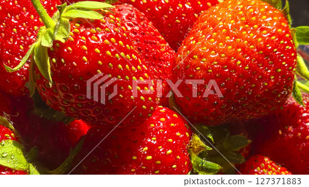 Ripe strawberries picked from the garden. In disposable containers. sale. 127371883