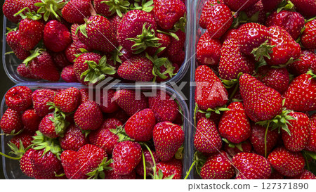 Ripe strawberries picked from the garden. In disposable containers. sale. Ripe strawberries picked from the garden. In disposable containers. sale. 127371890