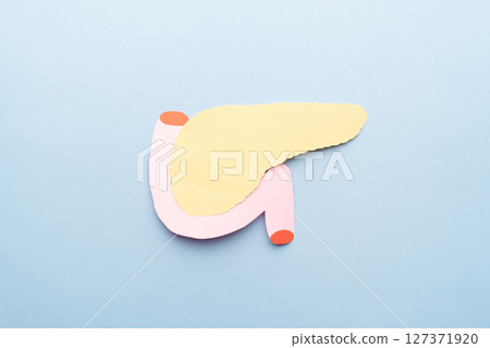 Pancreas organ shape made from paper on light blue background. Awareness of pancreatitis, pancreatic cancer and  diabetes mellitus. 127371920