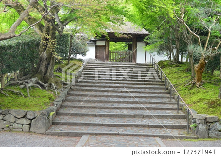 The mountain gate of Anrakuji Temple (21 Shishigatani Goshonodan-cho, Sakyo Ward, Kyoto City) The mountain gate of Anrakuji Temple (21 Shishigatani Goshonodan-cho, Sakyo Ward, Kyoto City) 127371941