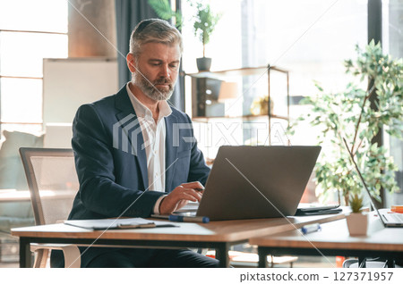 Using laptop. Senior businessman is working in the office Using laptop. Senior businessman is working in the office 127371957