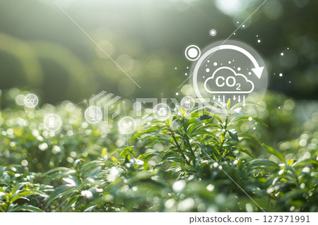 Leaf nature with CO2 symbol, Green environment earth eco global nature ecology technology, Carbon Dioxide Reduction. Concept of net zero and global warming. Leaf nature with CO2 symbol, Green environment earth eco global nature ecology technology, Carbon Dioxide Reduction. Concept of net zero and global warming. 127371991