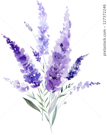 Bouquet made of watercolor lavender flowers. Purple wildflowers wedding isolated illustration 127372246