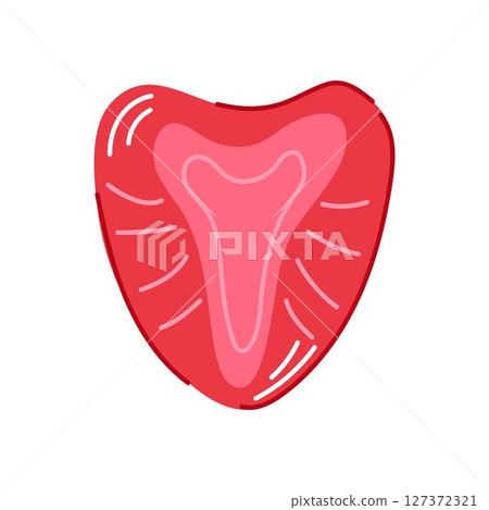 Red strawberry slice in flat style isolated on white background. Ideal for food design packaging, healthy eating or summer decoration. 127372321