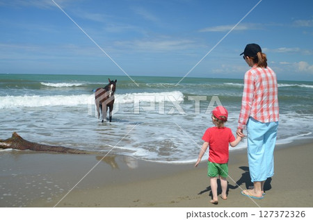 Family Observes Horse Approaching on Scenic Beach Family Observes Horse Approaching on Scenic Beach 127372326