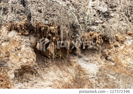 Soil on the ground as texture and background. Soil on the ground as texture and background. 127372396