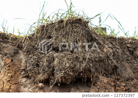 Soil on the ground as texture and background. 127372397